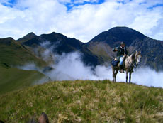 Randonn&eacute;e &eacute;questre en Equateur avec Randocheval Absolu Voyages